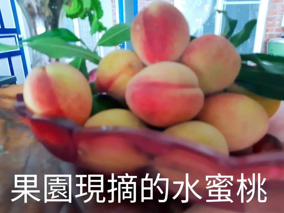 Taitung Linyuan B&B Donghe Exteriör bild