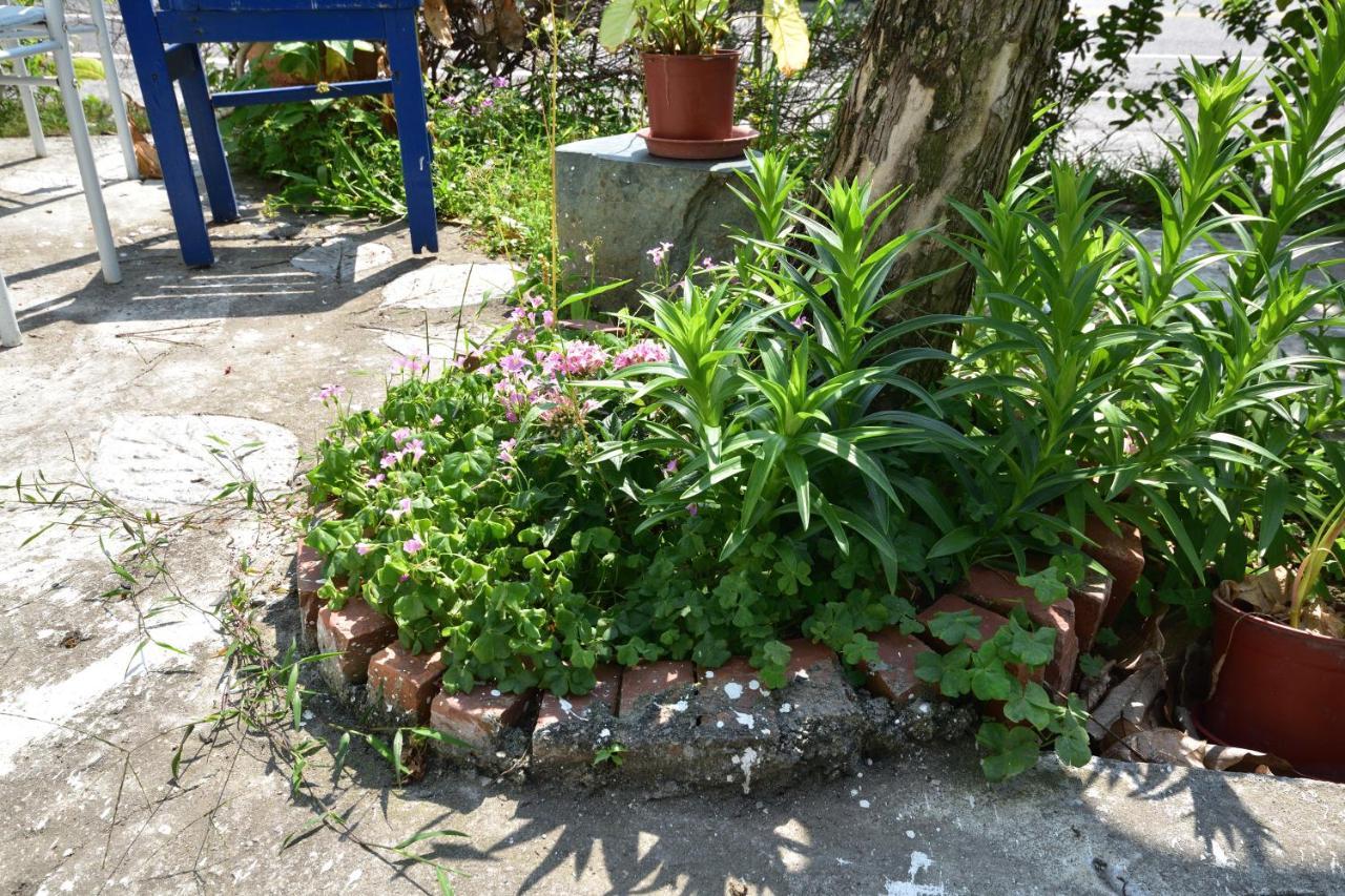Taitung Linyuan B&B Donghe Exteriör bild